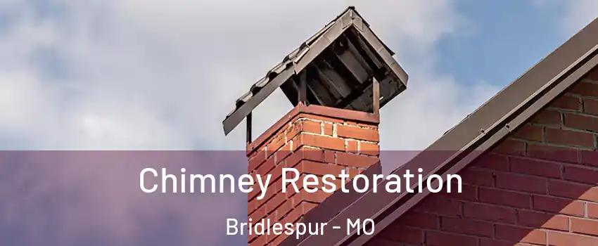 Chimney Restoration Bridlespur - MO