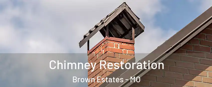 Chimney Restoration Brown Estates - MO