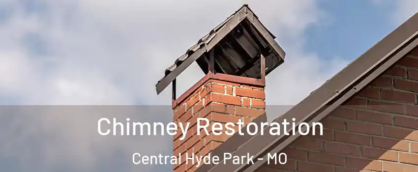 Chimney Restoration Central Hyde Park - MO