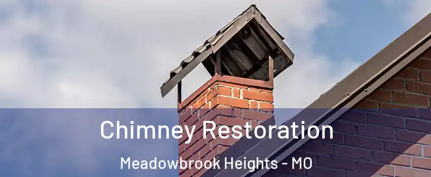 Chimney Restoration Meadowbrook Heights - MO