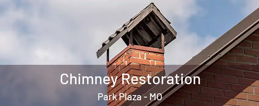 Chimney Restoration Park Plaza - MO