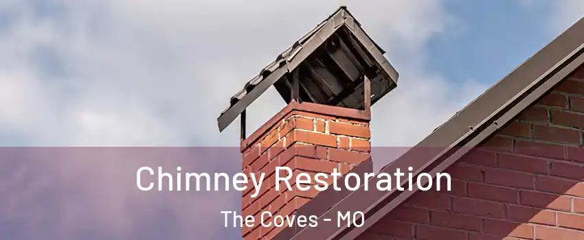 Chimney Restoration The Coves - MO