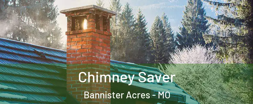 Chimney Saver Bannister Acres - MO