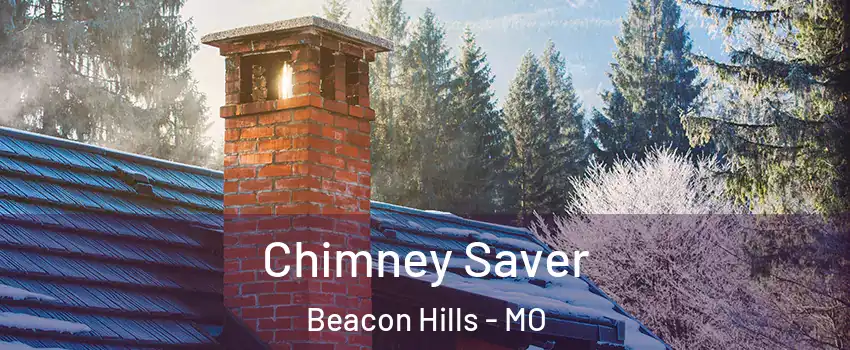 Chimney Saver Beacon Hills - MO