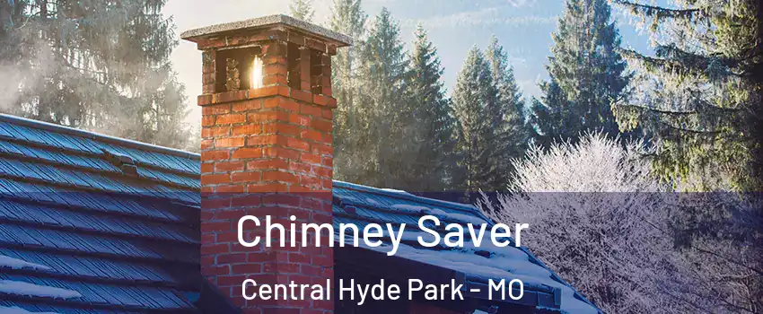 Chimney Saver Central Hyde Park - MO