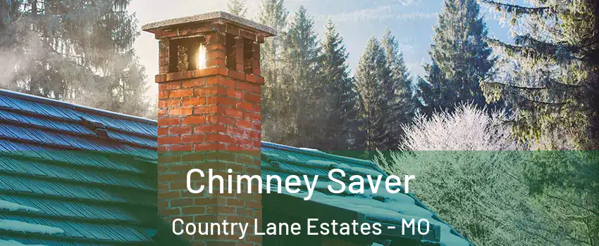 Chimney Saver Country Lane Estates - MO