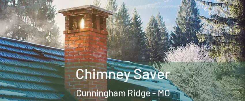 Chimney Saver Cunningham Ridge - MO