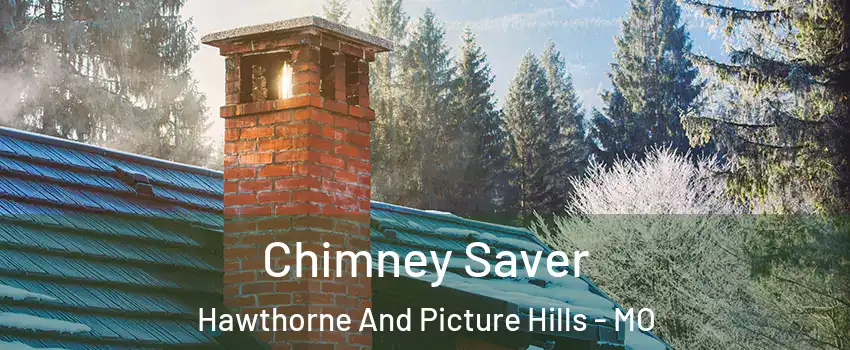 Chimney Saver Hawthorne And Picture Hills - MO