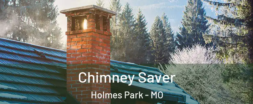 Chimney Saver Holmes Park - MO