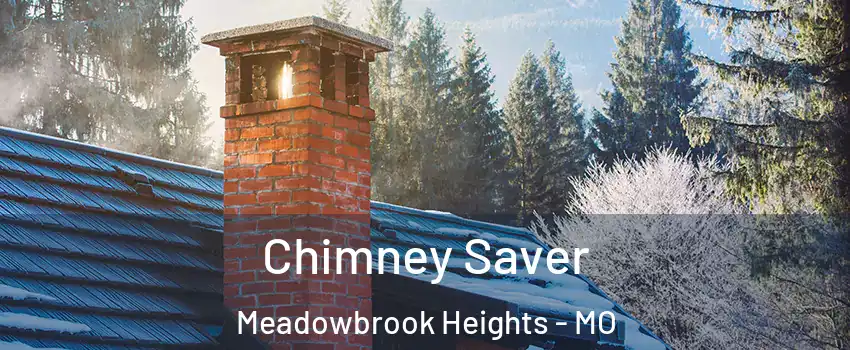 Chimney Saver Meadowbrook Heights - MO