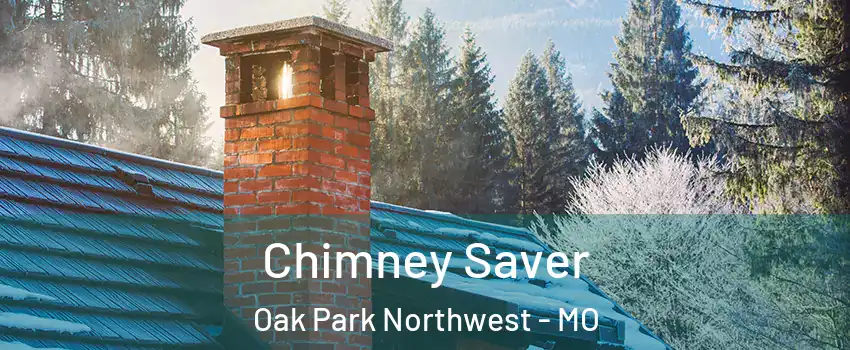 Chimney Saver Oak Park Northwest - MO