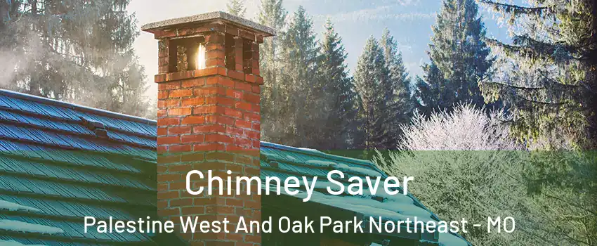 Chimney Saver Palestine West And Oak Park Northeast - MO