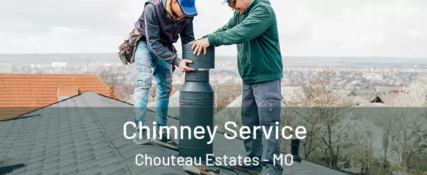 Chimney Service Chouteau Estates - MO