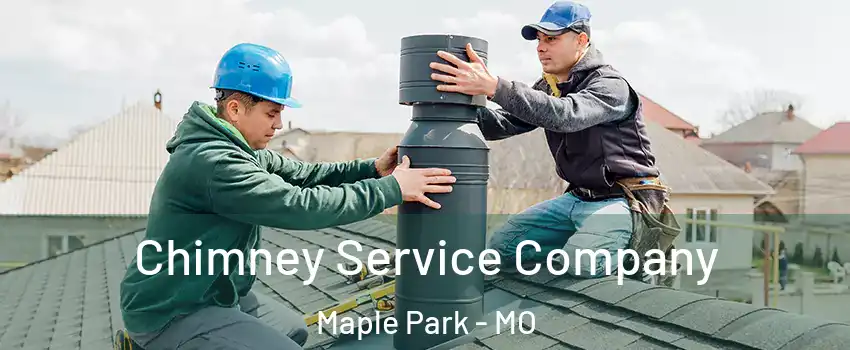 Chimney Service Company Maple Park - MO