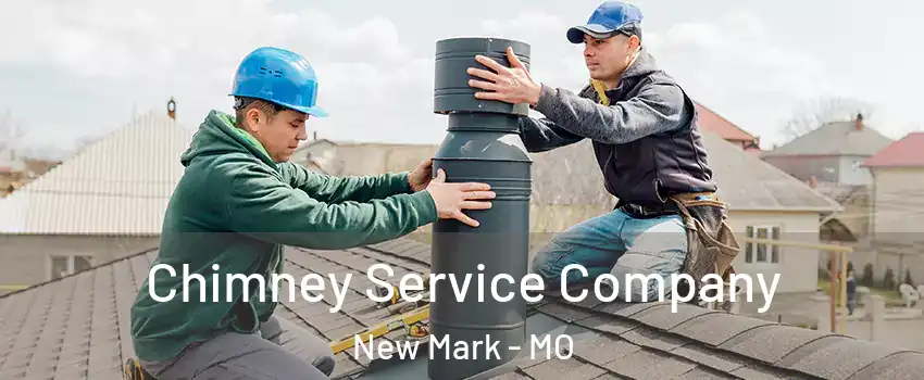 Chimney Service Company New Mark - MO