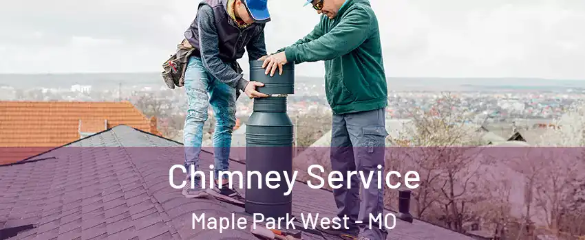 Chimney Service Maple Park West - MO