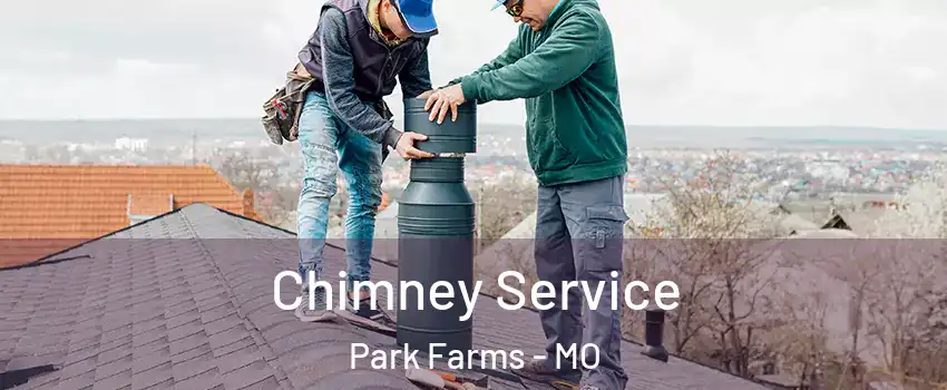 Chimney Service Park Farms - MO