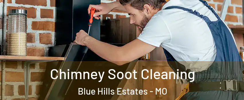 Chimney Soot Cleaning Blue Hills Estates - MO