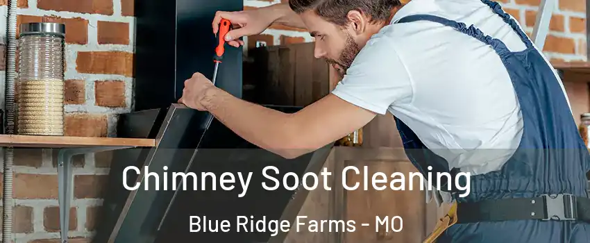 Chimney Soot Cleaning Blue Ridge Farms - MO