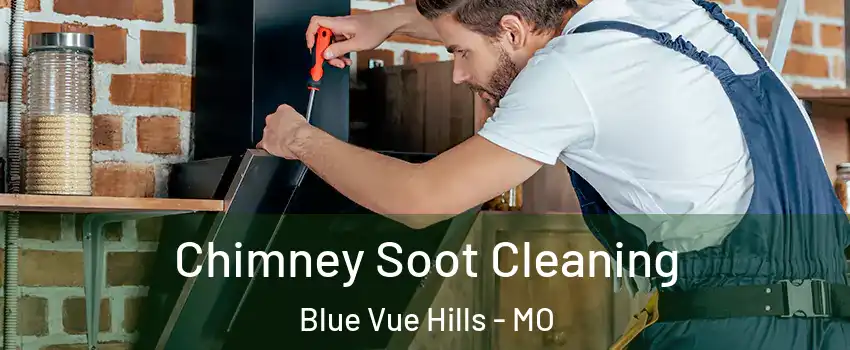 Chimney Soot Cleaning Blue Vue Hills - MO