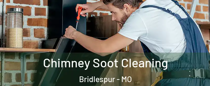 Chimney Soot Cleaning Bridlespur - MO