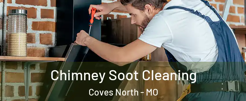 Chimney Soot Cleaning Coves North - MO