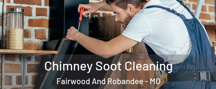 Chimney Soot Cleaning Fairwood And Robandee - MO