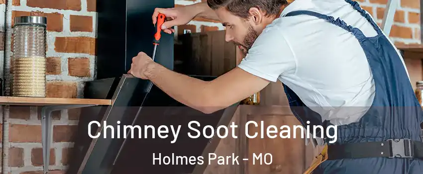 Chimney Soot Cleaning Holmes Park - MO