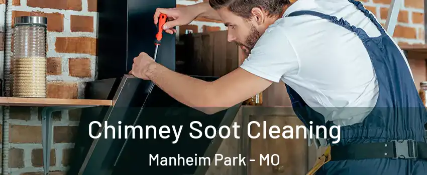 Chimney Soot Cleaning Manheim Park - MO