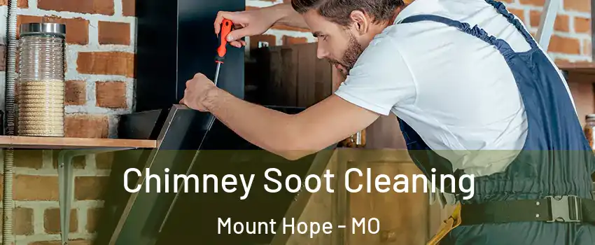 Chimney Soot Cleaning Mount Hope - MO