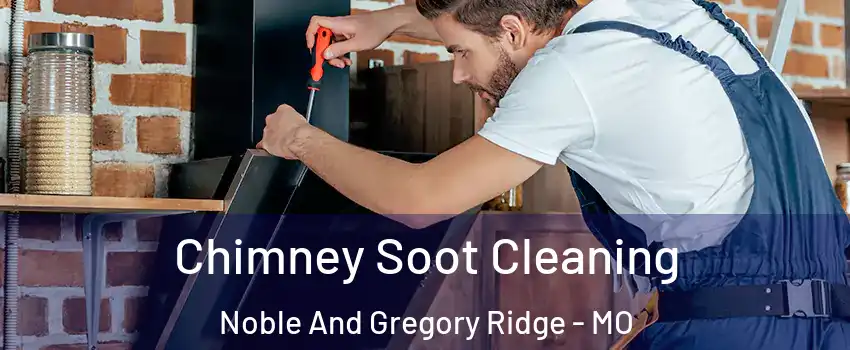 Chimney Soot Cleaning Noble And Gregory Ridge - MO