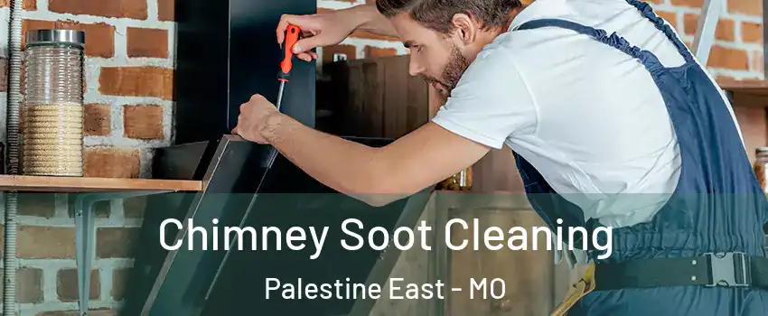 Chimney Soot Cleaning Palestine East - MO