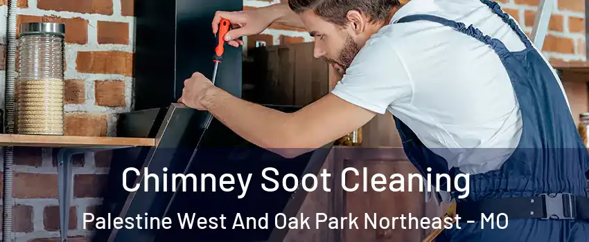 Chimney Soot Cleaning Palestine West And Oak Park Northeast - MO