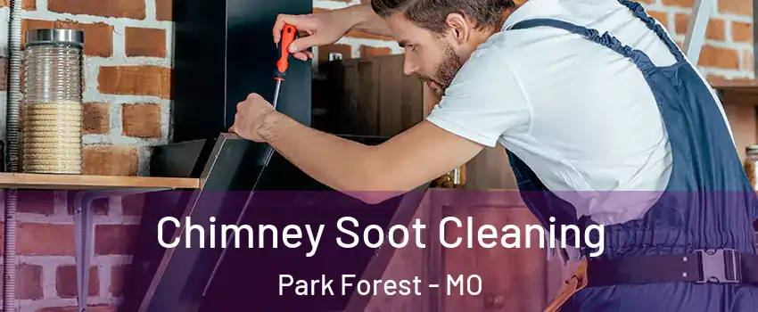 Chimney Soot Cleaning Park Forest - MO