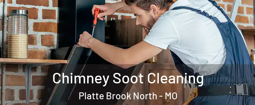 Chimney Soot Cleaning Platte Brook North - MO