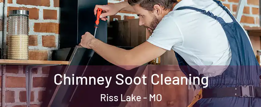 Chimney Soot Cleaning Riss Lake - MO