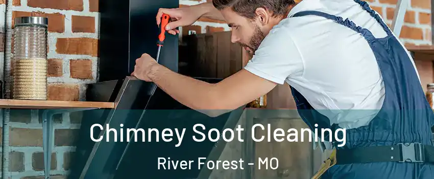 Chimney Soot Cleaning River Forest - MO