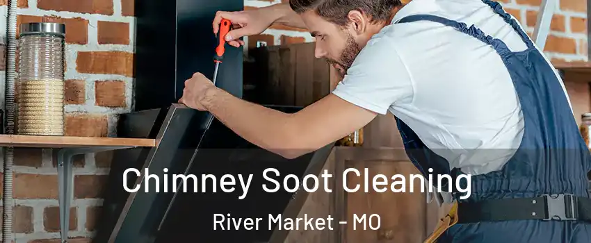 Chimney Soot Cleaning River Market - MO