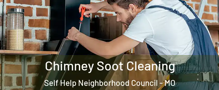 Chimney Soot Cleaning Self Help Neighborhood Council - MO