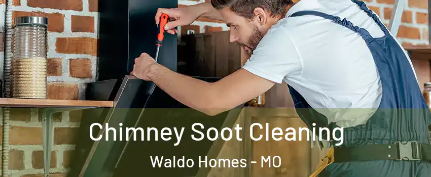 Chimney Soot Cleaning Waldo Homes - MO