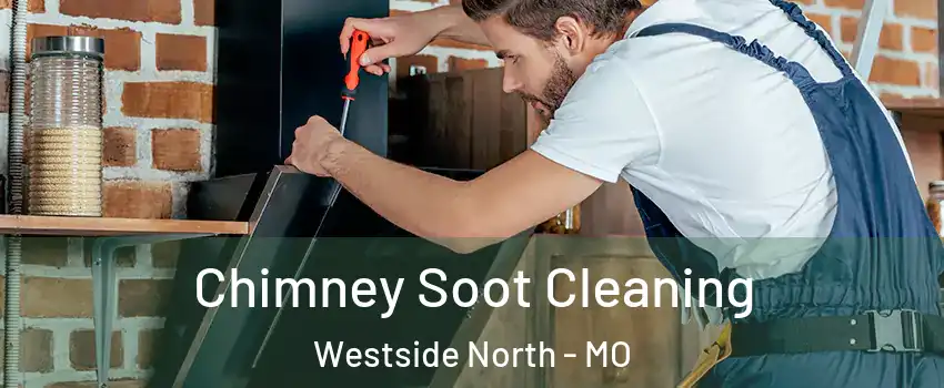 Chimney Soot Cleaning Westside North - MO