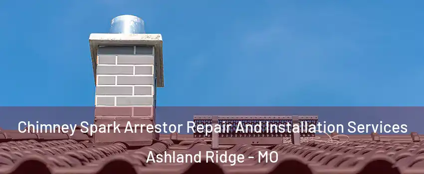 Chimney Spark Arrestor Repair And Installation Services Ashland Ridge - MO