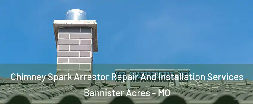 Chimney Spark Arrestor Repair And Installation Services Bannister Acres - MO