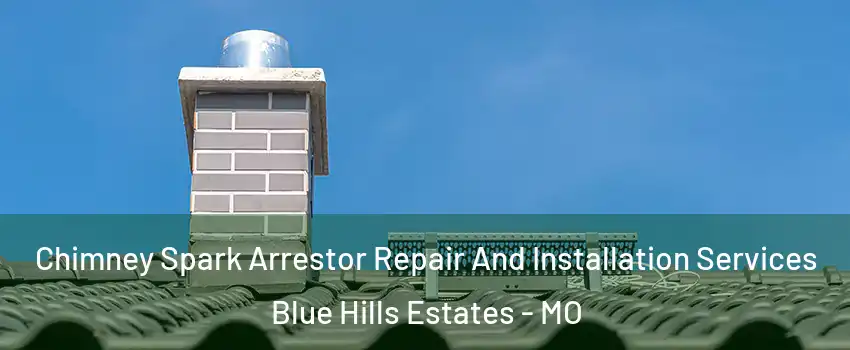 Chimney Spark Arrestor Repair And Installation Services Blue Hills Estates - MO