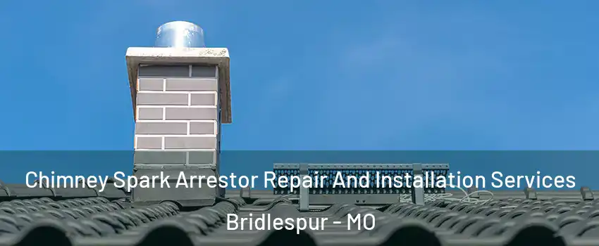 Chimney Spark Arrestor Repair And Installation Services Bridlespur - MO