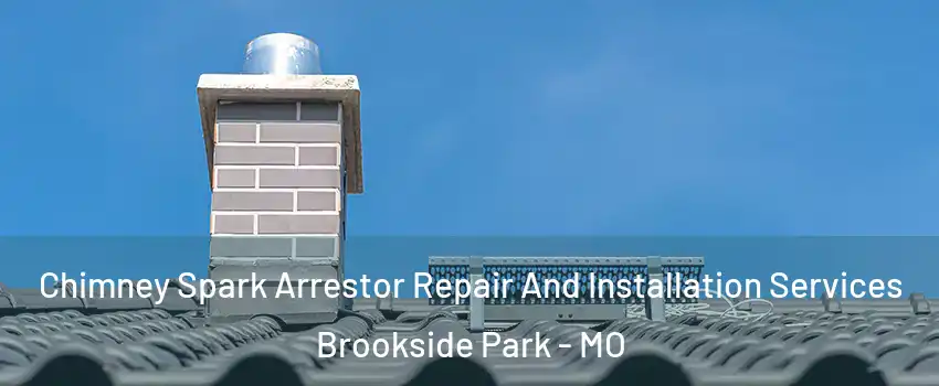 Chimney Spark Arrestor Repair And Installation Services Brookside Park - MO