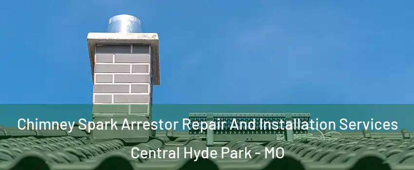 Chimney Spark Arrestor Repair And Installation Services Central Hyde Park - MO