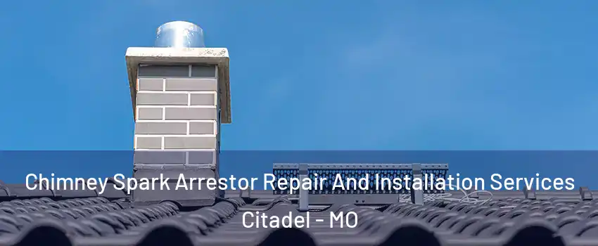 Chimney Spark Arrestor Repair And Installation Services Citadel - MO