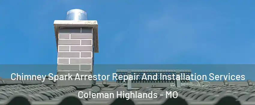 Chimney Spark Arrestor Repair And Installation Services Coleman Highlands - MO