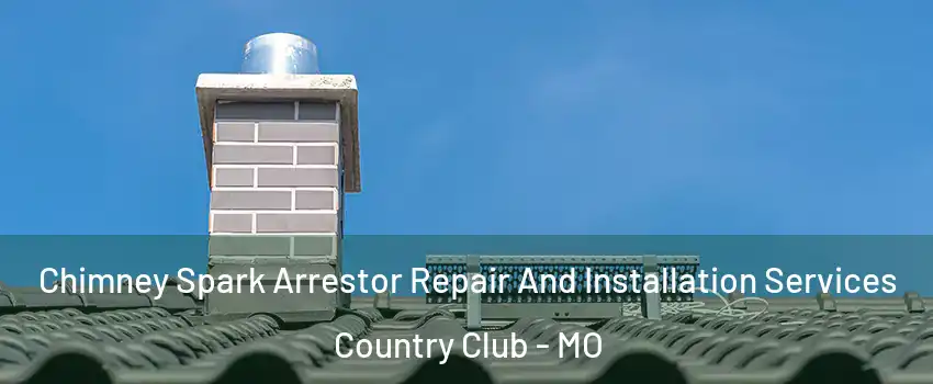 Chimney Spark Arrestor Repair And Installation Services Country Club - MO